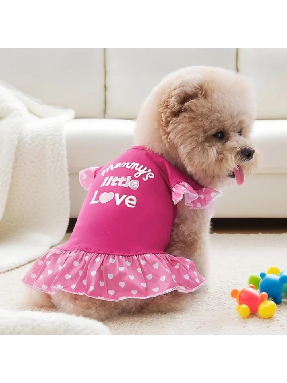 Cute Summer Dog Dress Set - 4 Pieces Pet Apparel for Small Dogs & Cats, X-Small